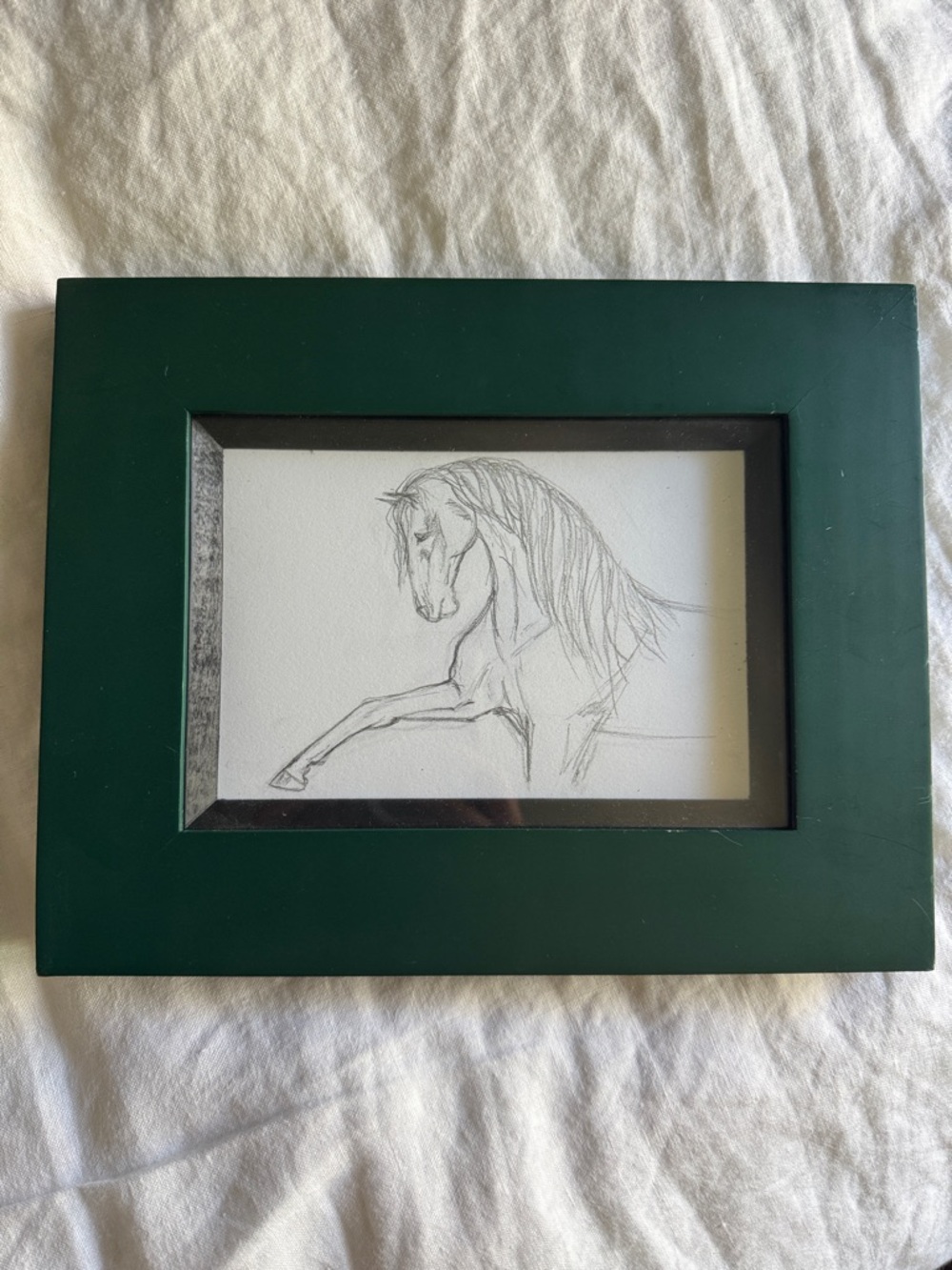 Hand-Drawn Horse Sketch